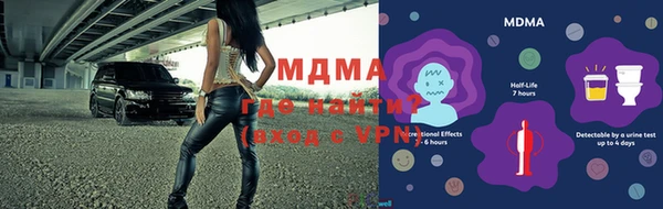 индика Вязьма
