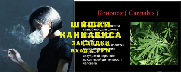сатива Приозерск