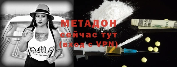 индика Вязьма