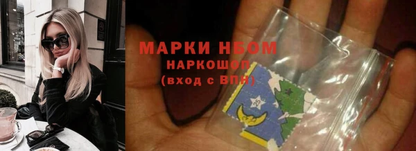 индика Вязьма