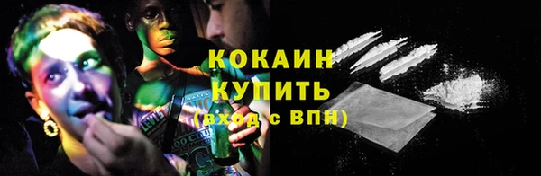 индика Вязьма
