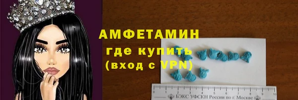 индика Вязьма