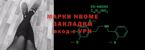 индика Вязьма