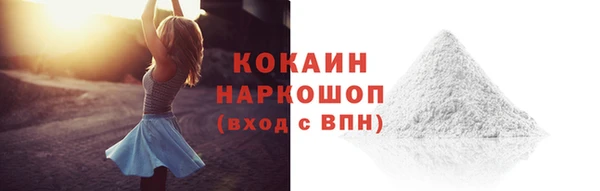 индика Вязьма