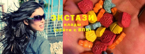 индика Вязьма