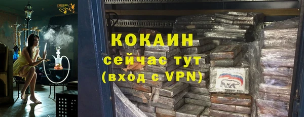 индика Вязьма