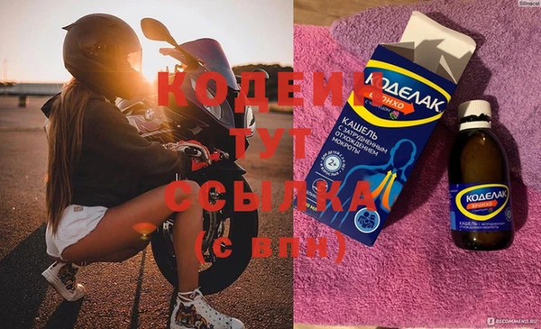 индика Вязьма