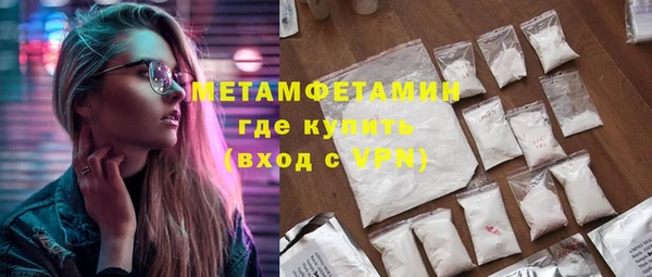 индика Вязьма