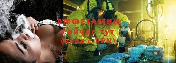 индика Вязьма