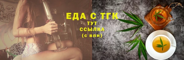 индика Вязьма