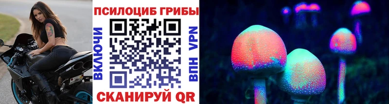 Псилоцибиновые грибы Psilocybe  Елец 