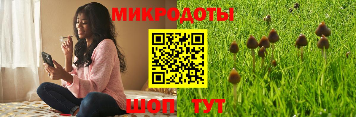 Псилоцибиновые грибы GOLDEN TEACHER  Галлюциногенные грибы Psilocybe  как найти закладки  Елец  Вход с VPN 