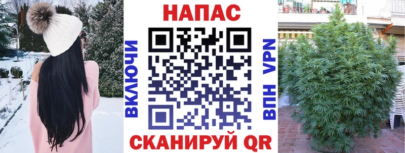 Бошки Шишки ГИДРОПОН Елец